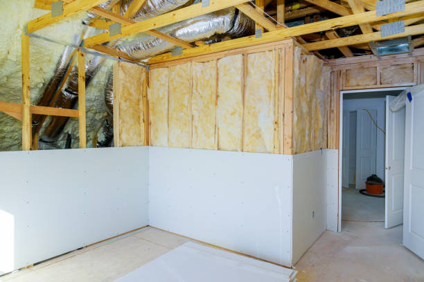 Best Insulation Maintenance and Repair in Wagener, SC