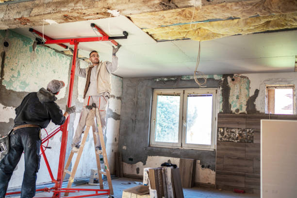 Best Residential Insulation in Wagener, SC