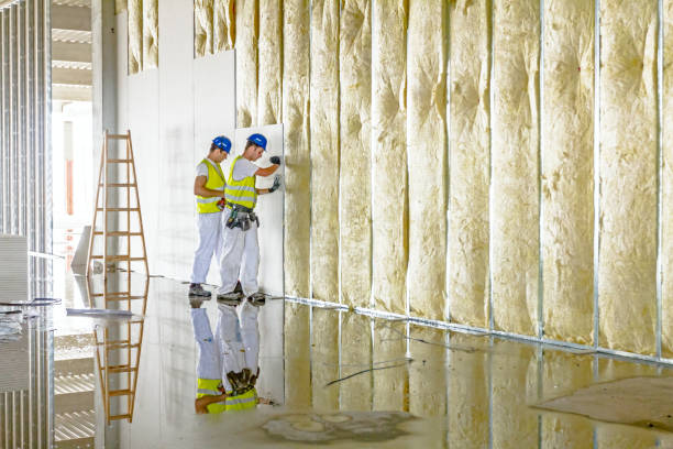 Best Insulation Maintenance and Repair in Wagener, SC